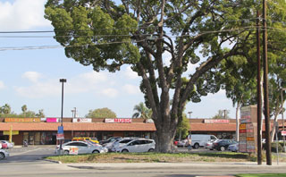 Crenshaw Retail Center