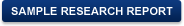 Sample Research Report